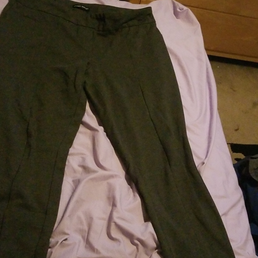 Dress pants